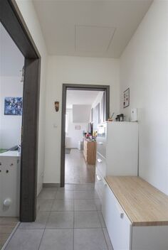 foto02_11564501_19ckas.jpg