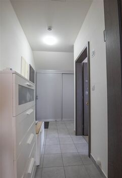 foto02_11564501_eyrdc.jpg