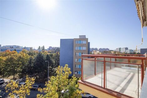 foto02_11564502_2jqxk.jpg