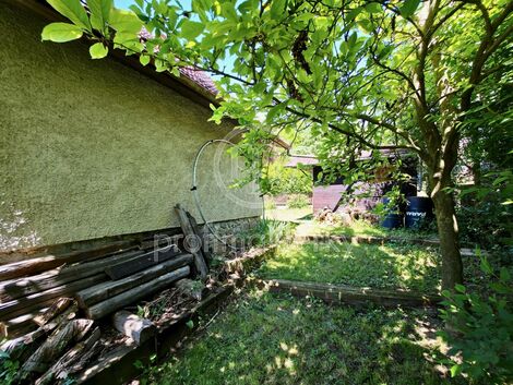 foto02_11547602_184cv4.jpg