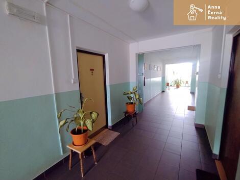 foto02_11357362_1l0qj8.jpg
