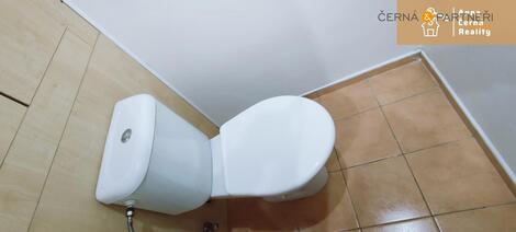 foto02_11357576_15w9u8.jpg