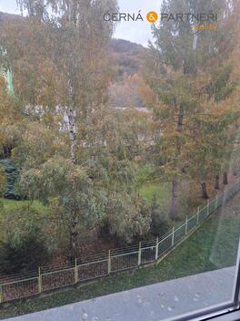 foto02_11357785_d0ysk.jpg