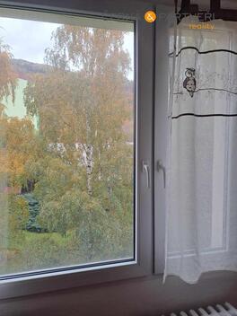 foto02_11357785_q4so8.jpg