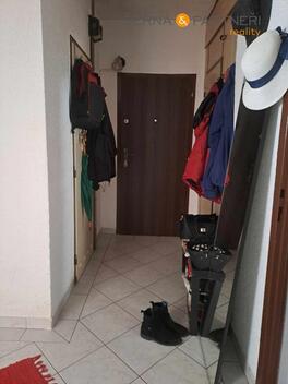 foto02_11357815_14kn98.jpg