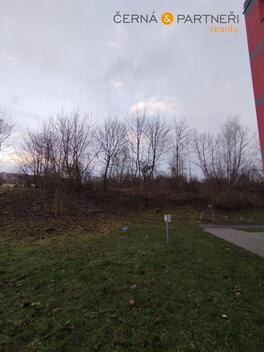 foto02_11358086_2fr6k.jpg