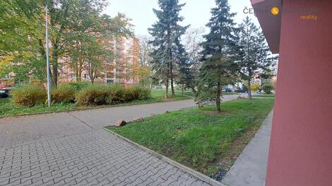 foto02_11358256_14mixc.jpg