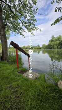 foto02_11360526_2goo4.jpg