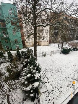 foto02_11365340_jb8bg.jpg