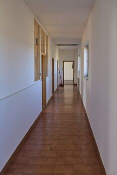foto02_11267131_1h76u4.jpg