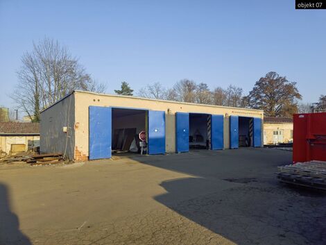 foto02_11329355_1aijvg.jpg