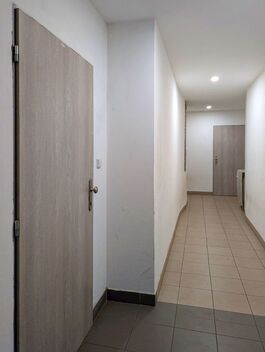 foto02_11347453_gpu1s.jpg