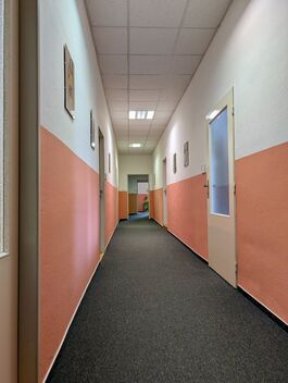 foto02_11382473_tqn20.jpg