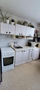 foto02_11368915_1aq5ps.jpg