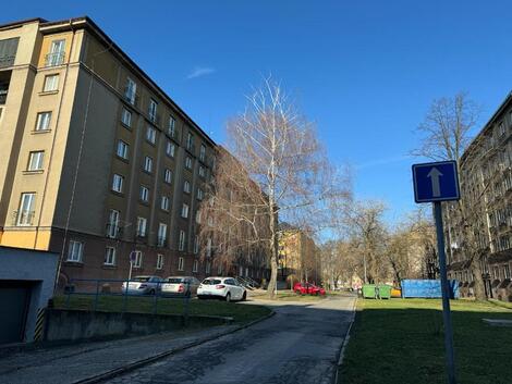 foto02_11381374_kqqps.jpg