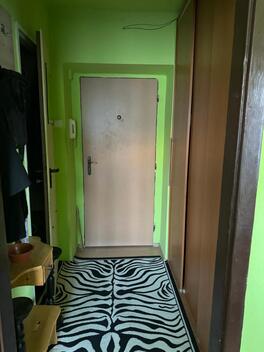 foto02_11381374_kte8o.jpg
