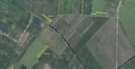 foto02_11363733_1bxaf0.jpg