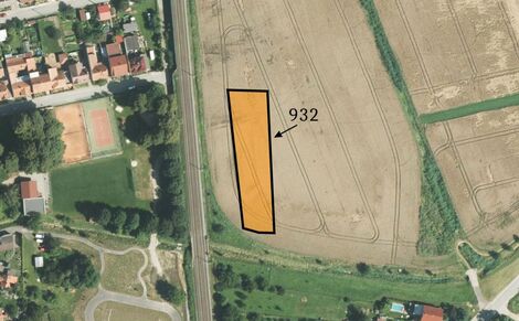 foto02_11364827_czxws.jpg