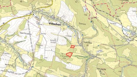 foto02_11365347_t5vg4.jpg