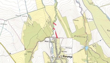 foto02_11365406_y6mbc.jpg