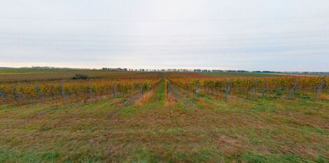foto02_11371921_1i4hak.jpg