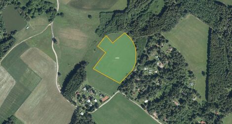 foto02_11462690_7njlk.jpg