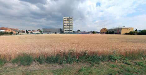 foto02_11468364_ebk6o.jpg