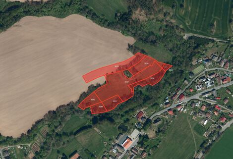 foto02_11478207_6ouak.jpg