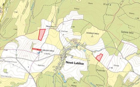 foto02_11486094_7lmm8.jpg
