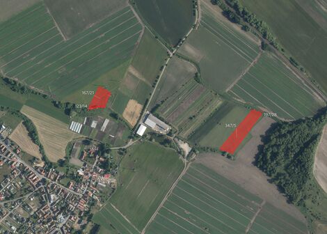 foto02_11498862_7ccl8.jpg
