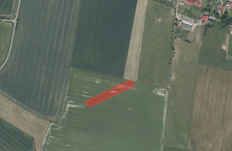 foto02_11498866_4muek.jpg