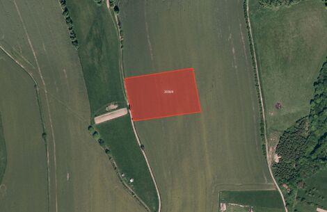 foto02_11504637_i5k8o.jpg