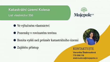 foto02_11514074_3xacc.jpg
