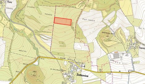 foto02_11526254_1li4ro.jpg