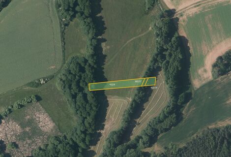 foto02_11534673_vkmlg.jpg