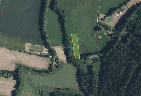 foto02_11534675_qgkd0.jpg