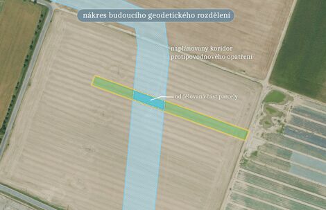 foto02_11535336_1httko.jpg