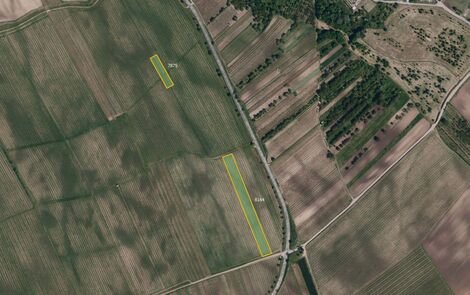 foto02_11544065_10suag.jpg
