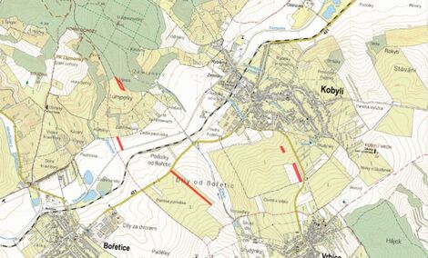 foto02_11544065_nogi4.jpg