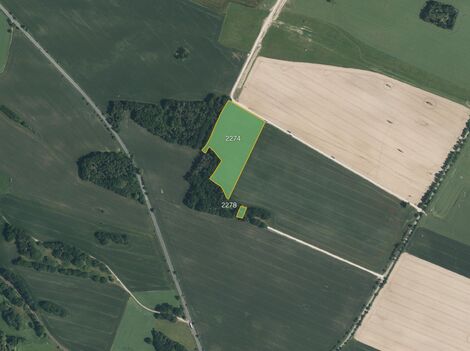 foto02_11547647_11ugj8.jpg