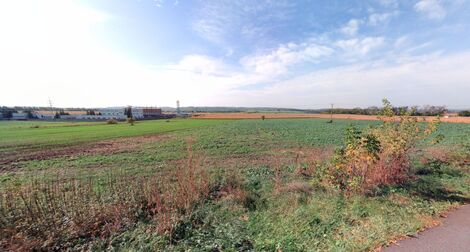 foto02_11567877_93s.jpg