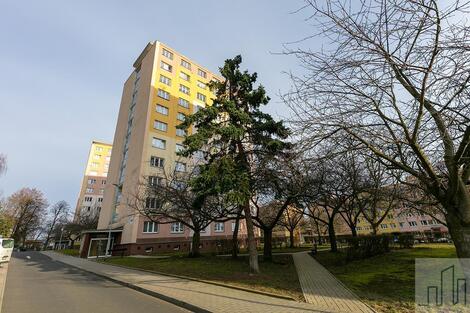 foto02_11463772_cyv94.jpg