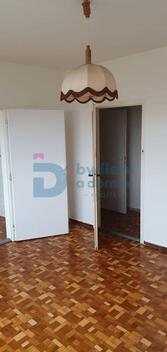 foto02_11380844_rhgdc.jpg
