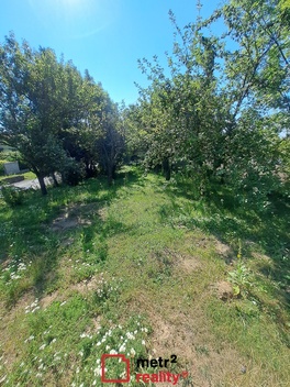 foto05_11544487_1ggu2.jpg