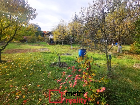 foto05_11572746_13e2.jpg