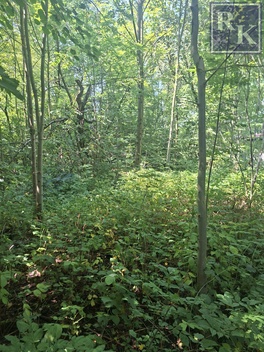 foto05_11532033_22cm.jpg