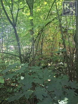 foto05_11532033_6eg3m.jpg