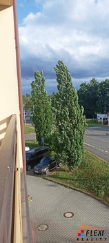 foto05_11373464_2vtgc.jpg