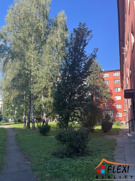 foto05_11380084_4jjpi.jpg