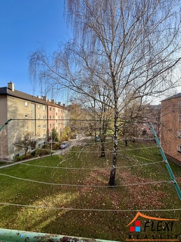 foto05_11555768_8lfpo.jpg